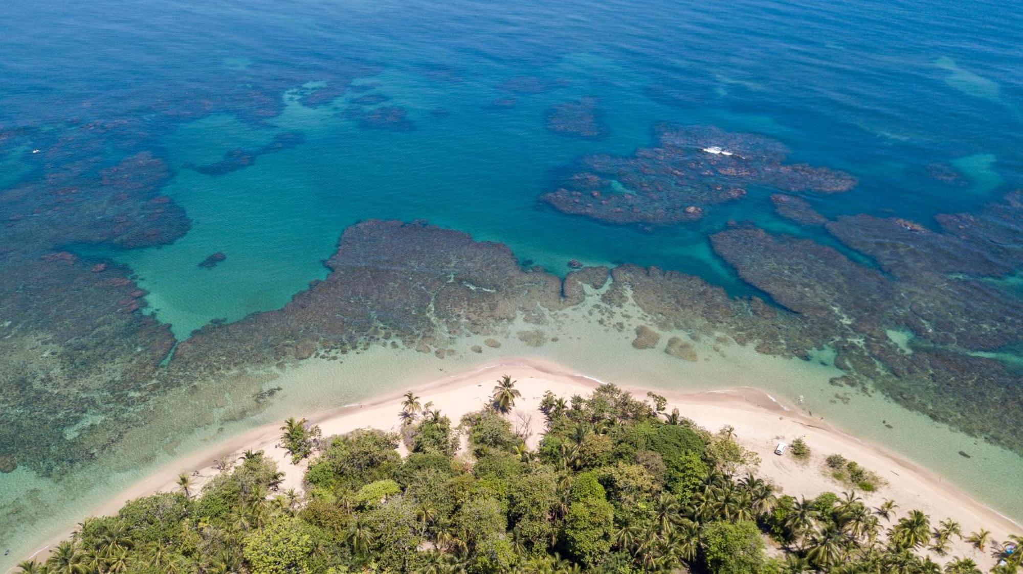 Namaitami Casa Hermosa Con Ac Y Piscina A Solo 650 Metros Del Parque Nacional Cahuita Eksteriør billede